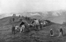 'La Serbie Douloureuse 1914. Creator: Unknown