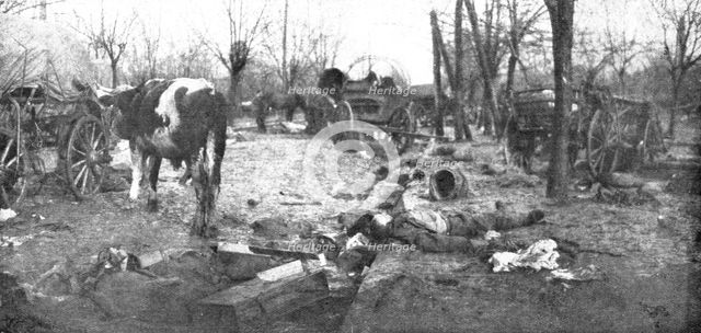 'La Serbie Victorieuse; l'etat de avenue du Bois de Topchidere, Belgrade', 1914. Creator: Unknown.