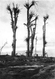 La Picardie Mutilee; Le calvaire de Pressoir 1917. Creator: Unknown