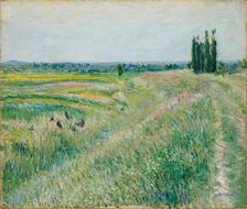La Plaine de Gennevilliers, groupe de peupliers, ca. 1883. Creator: Caillebotte, Gustave (1848-1894)