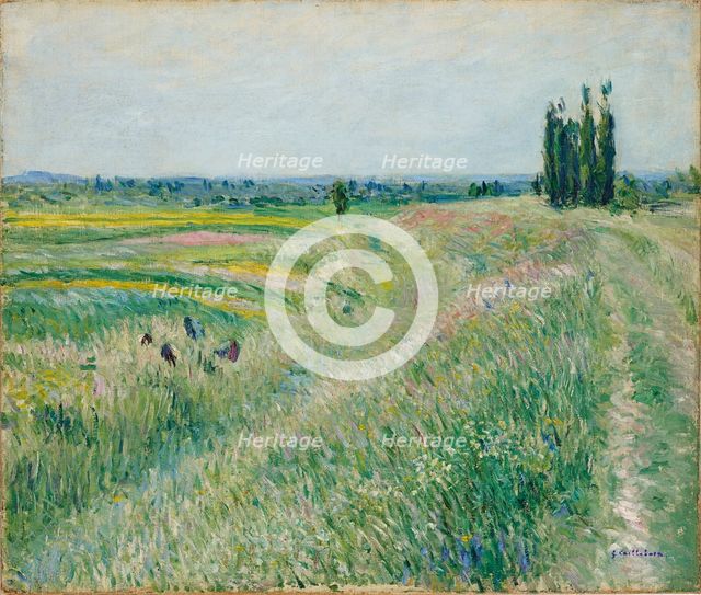 La Plaine de Gennevilliers, groupe de peupliers, ca. 1883. Creator: Caillebotte, Gustave (1848-1894).