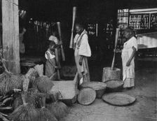 'La preparation du riz aux Philippines; Les Terres Du Pacifique 1914. Creator: Unknown