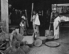 'La preparation du riz aux Philippines; Les Terres Du Pacifique 1914. Creator: Unknown