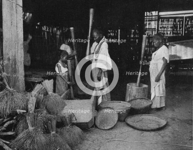 ''La preparation du riz aux Philippines; Les Terres Du Pacifique', 1914. Creator: Unknown.