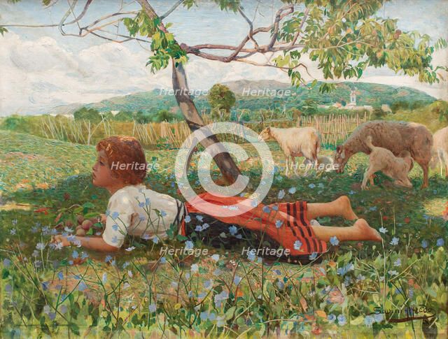 La raccolta delle albicocche (Die Aprikosenernte). Creator: Savini, Alfredo (1868-1924).