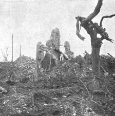 La retraite allemande; Les restes d'un pavillon dans le parc du chateau 1917. Creator: Unknown