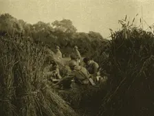 'La Replique de Foch; A l'est de Montdidier; au cours de la progression; dejeuner..., 1918. Creator: Unknown