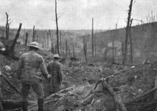 La reprise du bois de la Caillette; Dans le ravin de la Caillette : au fond, le bois de..., 1916. Creator: Unknown