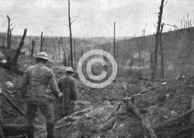 'La reprise du bois de la Caillette; Dans le ravin de la Caillette : au fond, le bois de..., 1916. Creator: Unknown.