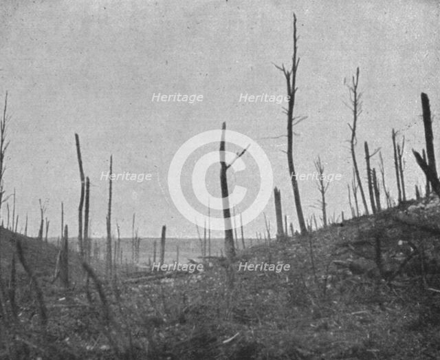 'La reprise du bois de la Caillette; Le debouche du ravin de la Caillette', 1916. Creator: Unknown.