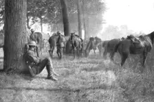 La rupture de Chemin des Dames; entre l'Ourcq et la Marne: halte de cavaliers amercains 1918. Creator: Unknown