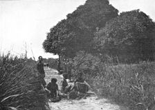 'La taille d'un sentier dans les forets du Congo Belge; L'Ouest Africain 1914. Creator: Unknown