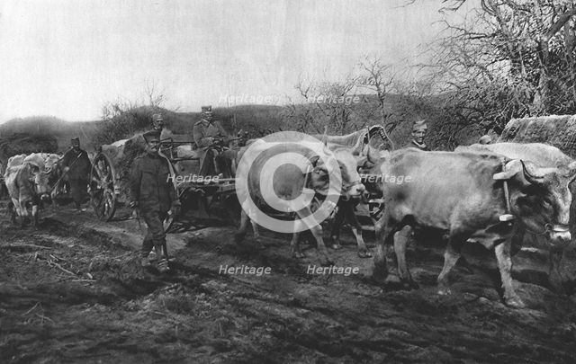 'La Tragedie Serbe; Pierre 1er Karageorgevitch quittante le territoirede la Vieille..., 1916. Creator: Vladimir Betzitch.