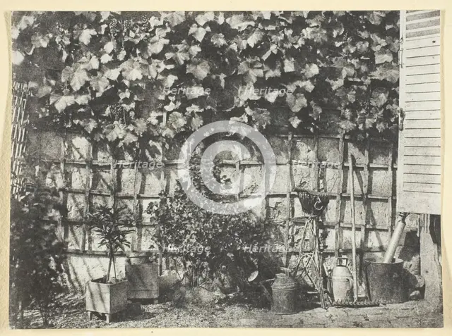La Treille, 1847, printed 1965. Creator: Hippolyte Bayard.