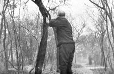 'La vie en Campagne; Un colonel, la tunique bas, fait sa barbe 1914. Creator: Unknown