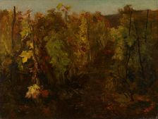 La Vigne [The Vine], 1860-1863. Creator: Charles Francois Daubigny