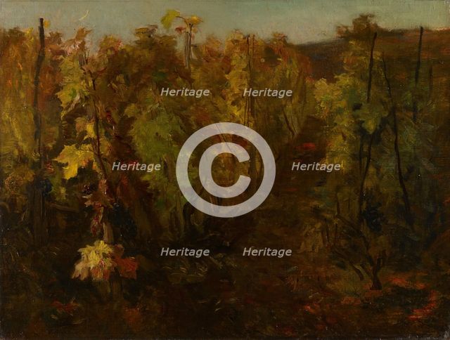 La Vigne [The Vine], 1860-1863. Creator: Charles Francois Daubigny.