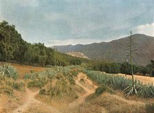 'La Zaouia du Moulay Idriss; Afrique du nord 1914. Creator: Jules Gervais-Courtellemont