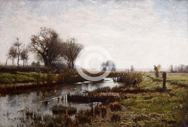 Late Afternoon, Dachau Moor, 1885. Creator: Theodore Clement Steele.