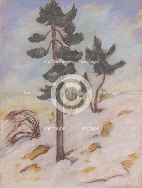 Late autumn in the High Tatras, 1925-1930. Creator: Zolo Palugyay.