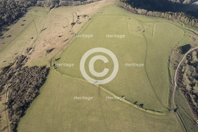 Late Bronze Age hilltop enclosure earthwork on Beacon Hill, near East Harting, West Sussex, 2018. Creator: Historic England Staff Photographer.
