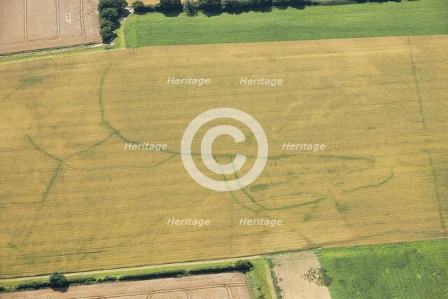 Late medieval farmstead in Lavenham, Suffolk, 2015. Artist: Damian Grady.
