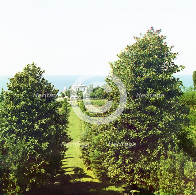 Lau-Dzhen-Dzhau's house, Chakva, between 1905 and 1915. Creator: Sergey Mikhaylovich Prokudin-Gorsky.