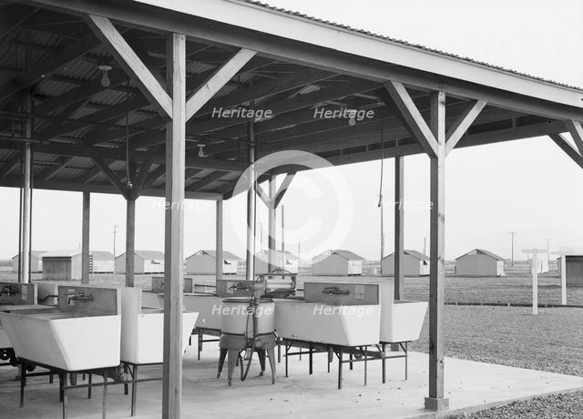 Laundry facilities at Westley camp for migratory labor, San Joaquin Valley, California, 1938. Creator: Dorothea Lange.