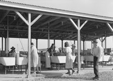 Laundry facilities for migratory workers in FSA camp at Westley, California, 1939. Creator: Dorothea Lange