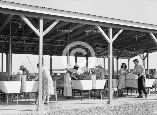Laundry facilities in FSA camp for migrant labor, Westley, California, 1939. Creator: Dorothea Lange.