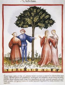 Laurel berries, 14th century. Creator: Unknown