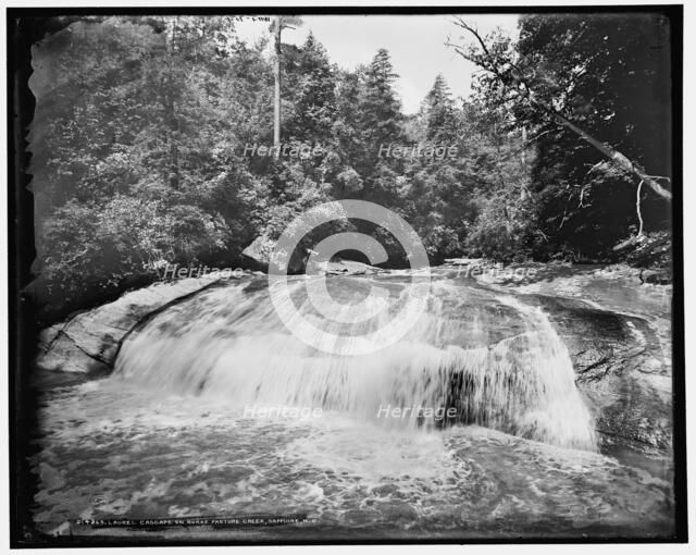 Laurel Cascade on Horse Pasture Creek, Sapphire, N.C., (1902?). Creator: William H. Jackson.