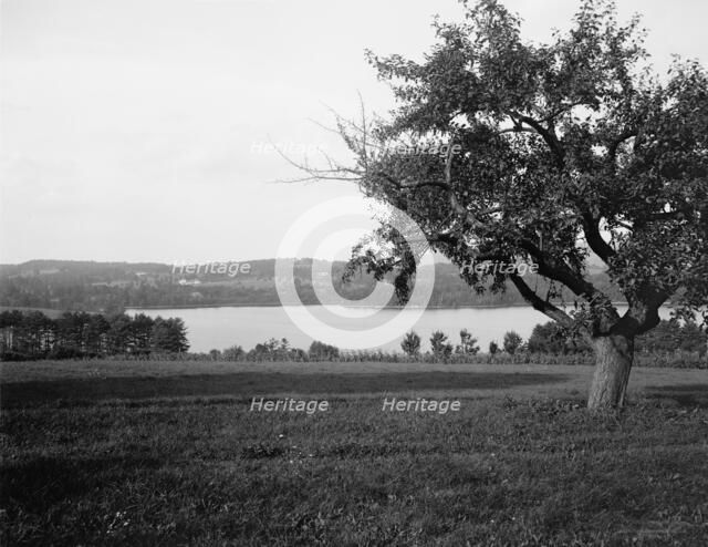 Laurel Lake, Westinghouse estate, Lenox, Mass., between 1910 and 1920. Creator: Unknown.