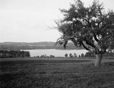 Laurel Lake, Westinghouse estate, Lenox, Mass., between 1910 and 1920. Creator: Unknown