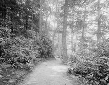 Laurel Lane, White Sulphur Springs, W. Va., c.between 1910 and 1920. Creator: Unknown