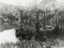 "Laurelton Hall," Louis Tiffany Foundation, Laurel Hollow, Cold Spring Harbor, New York, c1918. Creator: Frances Benjamin Johnston