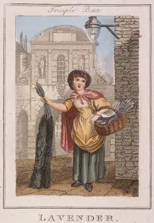 Lavender Cries of London, 1804. Artist: Anon