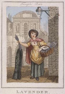 Lavender Cries of London, 1804. Artist: Anon