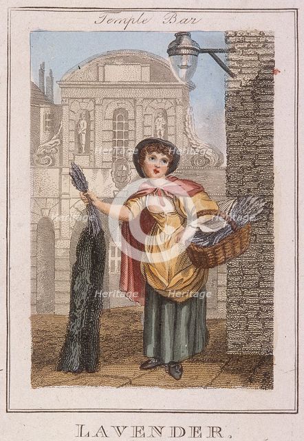 'Lavender', Cries of London, 1804. Artist: Anon