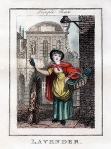Lavender Temple Bar, London, 1805