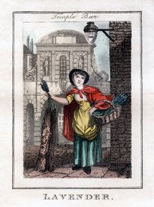 Lavender Temple Bar, London, 1805