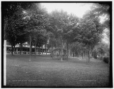 Lawn at Hyde Manor, Green Mountains, between 1900 and 1906. Creator: Unknown