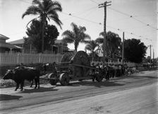 Laying Electrical Mains - Wynnum Road, Norman Park (old shop is #101 Wynnum Road), 1916. Creator: Robert Augustus Henry L'Estrange