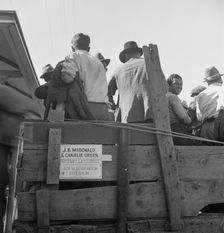 Labor contractor's truck with gang of pea pickers pulled up for gas, Westley, California, 1939. Creator: Dorothea Lange