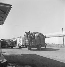 Labor contractor's truck with gang of pea pickers pulled up for gas, Westley, California, 1939. Creator: Dorothea Lange