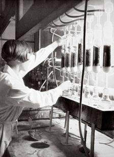 Laboratory research work, Germany, 1936. Creator: Unknown