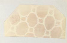 Lace in the Solar Microscope, 400 times magnified in surface, 1839. Creator: William Henry Fox Talbot