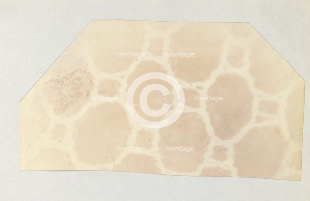 Lace in the Solar Microscope, 400 times magnified in surface, 1839. Creator: William Henry Fox Talbot.
