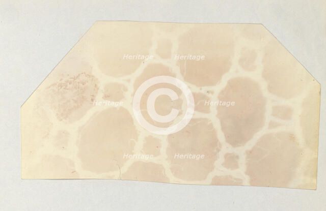 Lace in the Solar Microscope, 400 times magnified in surface, 1839. Creator: William Henry Fox Talbot.