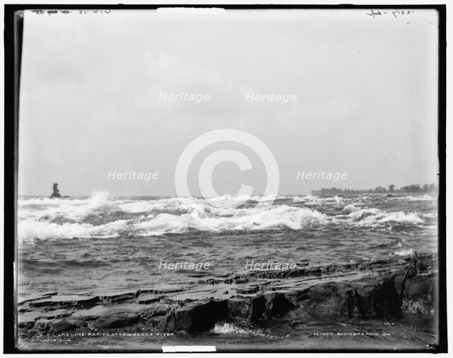 Lachine rapids, St. Lawrence River, between 1890 and 1901. Creator: William H. Jackson.